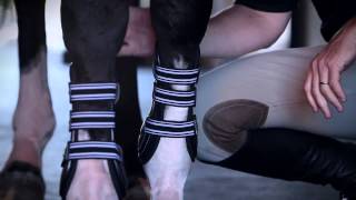 McLain Ward How to Fit EquiFit DTeq Boots [upl. by Ettenahc]