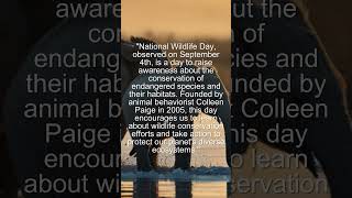 National Wildlife Day  Importence of September importenceofdaysDATETHATMATTERSdatethatmatters [upl. by Anasus477]