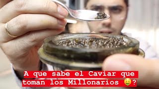 PROBANDO CAVIAR de ESTURION BELUGA  Puede costar hasta 25000€Kg [upl. by Tsugua]