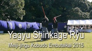 Yagyu Shinkage Ryu  Yagyū Kōichi Soke  Meijijingu Kobudo Demonstration 2015 [upl. by Susej]