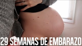 EMBARAZO MELLIZOS  29 semanas de embarazo VLOG  Mamá ingeniera [upl. by Trinl]