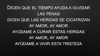 HERIDAS DE AMOR  DELEITES ANDINOS INSTRUMENTAL [upl. by Missie547]