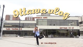 TẠM BIỆT UOTTAWA LẦN CUỐI 🥹 Ottawa vlog  Du học sinh Canada 🇨🇦 [upl. by Anitac292]