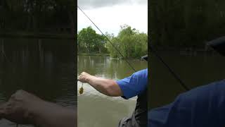 🎥🎞Pêcher les obstacles de façon responsable🤟💪 carpfishingvideos fishing feederfishing feeder [upl. by Marlowe]