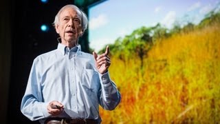 How to green the worlds deserts and reverse climate change  Allan Savory [upl. by Hoashis]