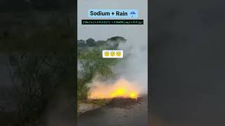 Sodium metal react with watersodiummetal sodium chemistry [upl. by Atinas]