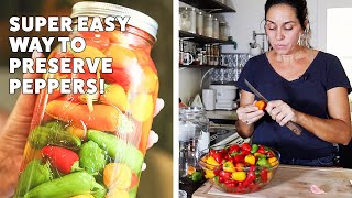 How to Easily PRESERVE PEPPERS in Vinegar and Salt [upl. by Enirolf]