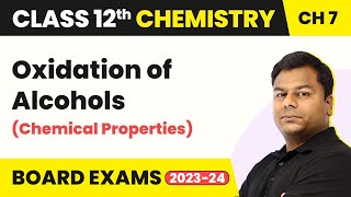 Oxidation of Alcohols Chemical Properties  Class 12 Chemistry Chapter 7  CBSE 202425 [upl. by Aliber]