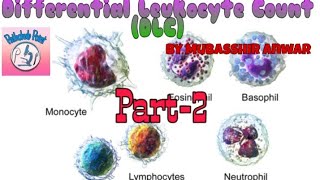 Differential Leukocytes Counts DLC Part2 [upl. by Francoise]