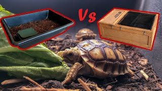 How to Set Up Your Baby Sulcata Tortoise Enclosure [upl. by Inanuah]