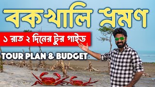 Bakkhali Tour Plan in Bengali  Bakkhali Tour Guide  Bakkhali Tourist Spot Sea Beach Hotel [upl. by Earised971]