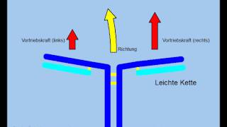 Theorie des Immunsystems Antikörper und Antigene [upl. by Oflodor]