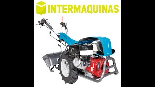 Motocultor Bertolini 413S en funcionamiento  🚜 INTERMAQUINAS 🚜 [upl. by Suirauqed]