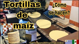 ¿Cómo se hacen las tortillas de maíz en una tortillería Veremos el proceso paso a paso [upl. by Erminia]