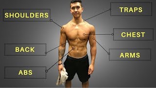 My FULL Training Routine Workouts Diet amp Cardio [upl. by Ahcropal]