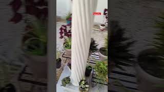 Garden makeover 3 thehappygardeninglife gardening plants viralvideo ytshorts [upl. by Esenahs]