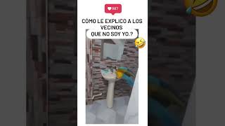 Este Pequeño Loro Lo Hace de Nuevo  😂 shorts humor [upl. by Hareehahs]