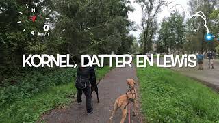 Training met Kornel Datter en Lewis [upl. by Ahsilef]