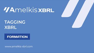 Formation Tagging XBRL [upl. by Dagney]