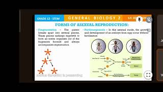 GEN BIO 2  REPRODUCTION [upl. by Asirret]