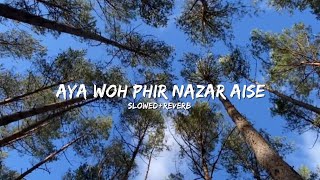 Aya Woh Phir Nazar AiseSlowedReverbsong [upl. by Niriam]