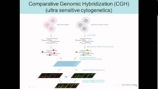 comparitive genomic hybridization [upl. by Volpe]