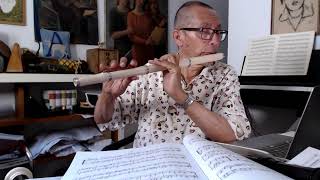 A Bova Prélude no 47 for baroque flute [upl. by Chic]