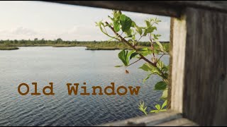 Mindless Paresthesia  Old Window [upl. by Dowell]