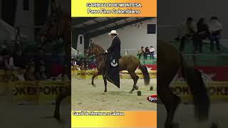 GARIBALDI DE MONTESA PASO FINO COLOMBIANO pasofino caballos horse shortsvideo [upl. by Malanie723]