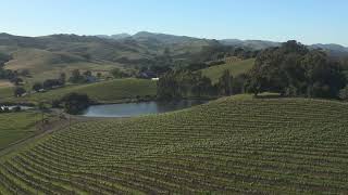 Firetree Vineyards  Carneros [upl. by Epolenep]