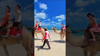 Things to do in Bali Attractions Bali near Airport Kuta Seminyak Jimbaran Nusa Dua • Camel Adventure [upl. by Franchot371]