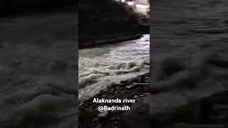 Alaknanda river at Badrinath temple [upl. by Daffy]