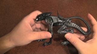 General Lotz Reviews Night Cougar Alien Kenner Action Figure [upl. by Peck67]