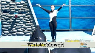 Whistleblower Former SeaWorld Trainer [upl. by Adnicul]