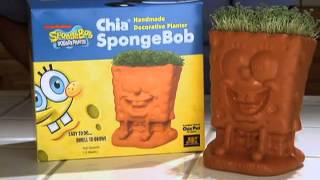 CHIA PET [upl. by Tcideneb]