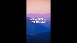 Angel Number 222 Meaning  shorts [upl. by Doralynne]