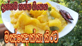 මඤ්ඤොක්කා කිරට  Manioc Curry  How To Make Manioc Curry With Recipe  HD Video Quality [upl. by Mixie]