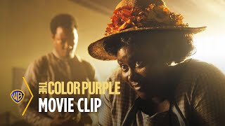 The Color Purple from 1985 [upl. by Anaujat]