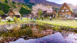 VILLAGGI GIAPPONESI e SAMURAI • Japan Interrail Ep4 Shirakawago amp Kanazawa [upl. by Schroer853]