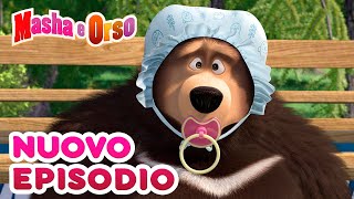 Masha e Orso 💥 Nuovo episodio 💥 Collezione di episodi 📺🎫 Cartoni animati per bambini [upl. by Ainav]