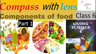 Science  Lesson Plan  Topic  Nutrition Of Food  Class  678  B ED File  Total Classes [upl. by Arrais]