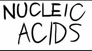 LifeWithJuan  The Nucleic Acids Song [upl. by Rab]