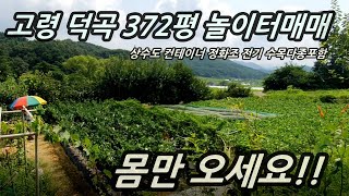 전속중개224고령 덕곡 농막매매수도 전기컨테이너정화조은성부동산 01045842100 [upl. by Chariot]