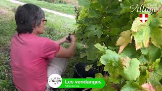 LES VENDANGES [upl. by Ogu]