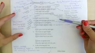 A Poison Tree Annotations [upl. by Aniral]