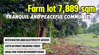 V57124 Alfonso cavite residential farm lot 7889 sqm with fruit bearing trees [upl. by Ydeh]