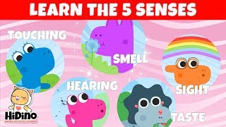 The 5 Senses  Learn the five senses  HiDino Kids Songs [upl. by Ion802]