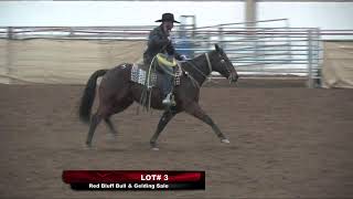 RED BLUFF BULL amp GELDING  SNAFFLE BITHACKAMORE [upl. by Fanny]