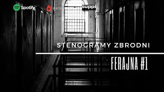 Stenogramy zbrodni™  FERAJNA 🎧1  kryminał podcast słuchowisko antykryminał [upl. by Nawyt]