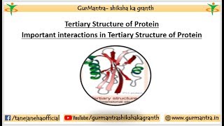 TERTIARY STRUCTURE OF PROTEIN  IMPORTANT INTERACTIONS IN TERTIARY STRUCTURE OF PROTEINSv [upl. by Rech795]